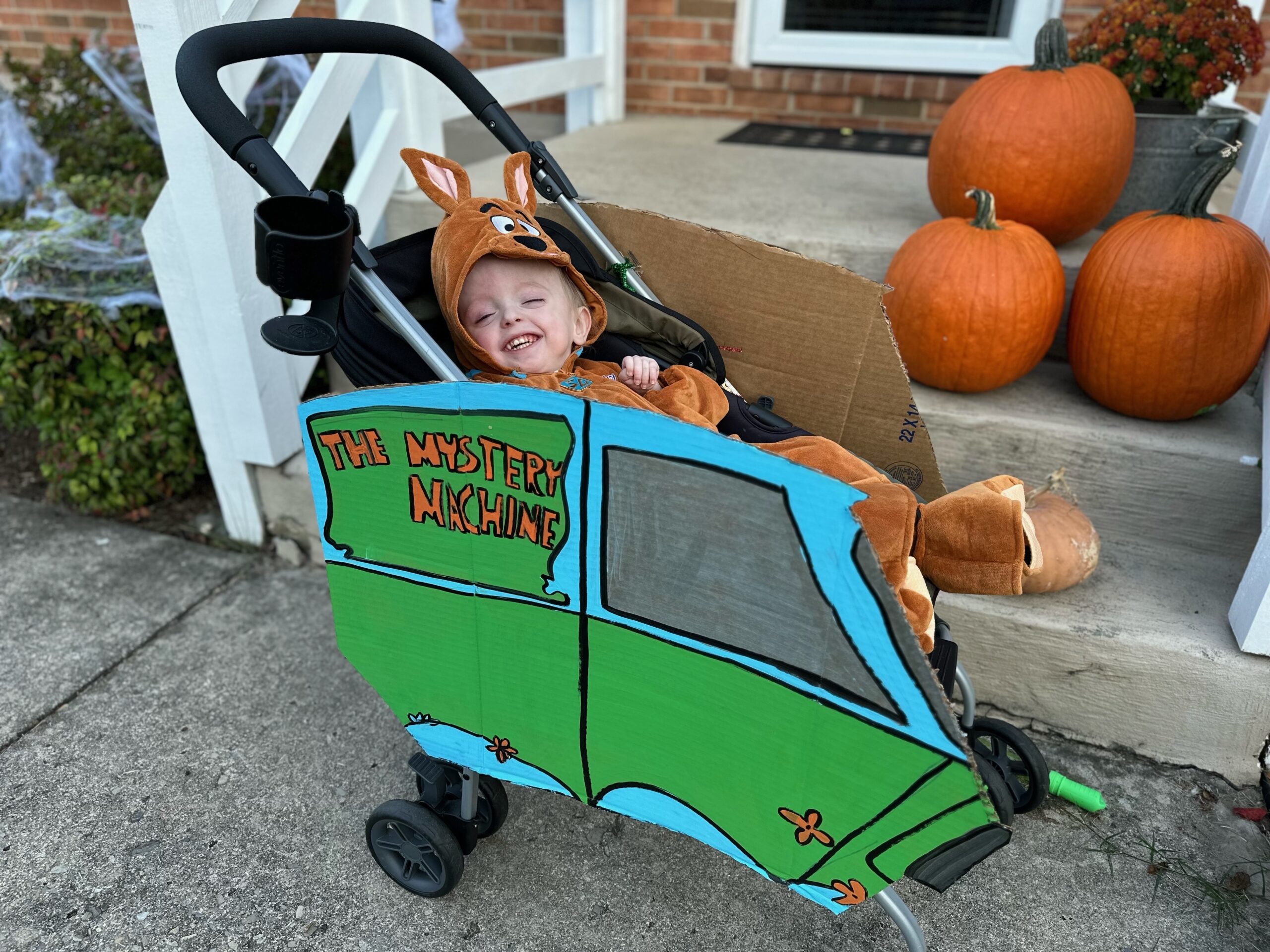 Scooby Doo Mystery Machine