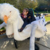 Harry Potter Riding the Hippogriff