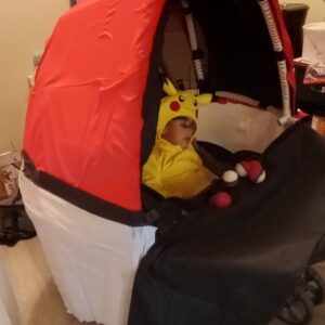 Alternative view of Pokemon