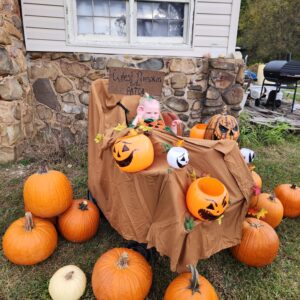 Alternative view of Pumpkin