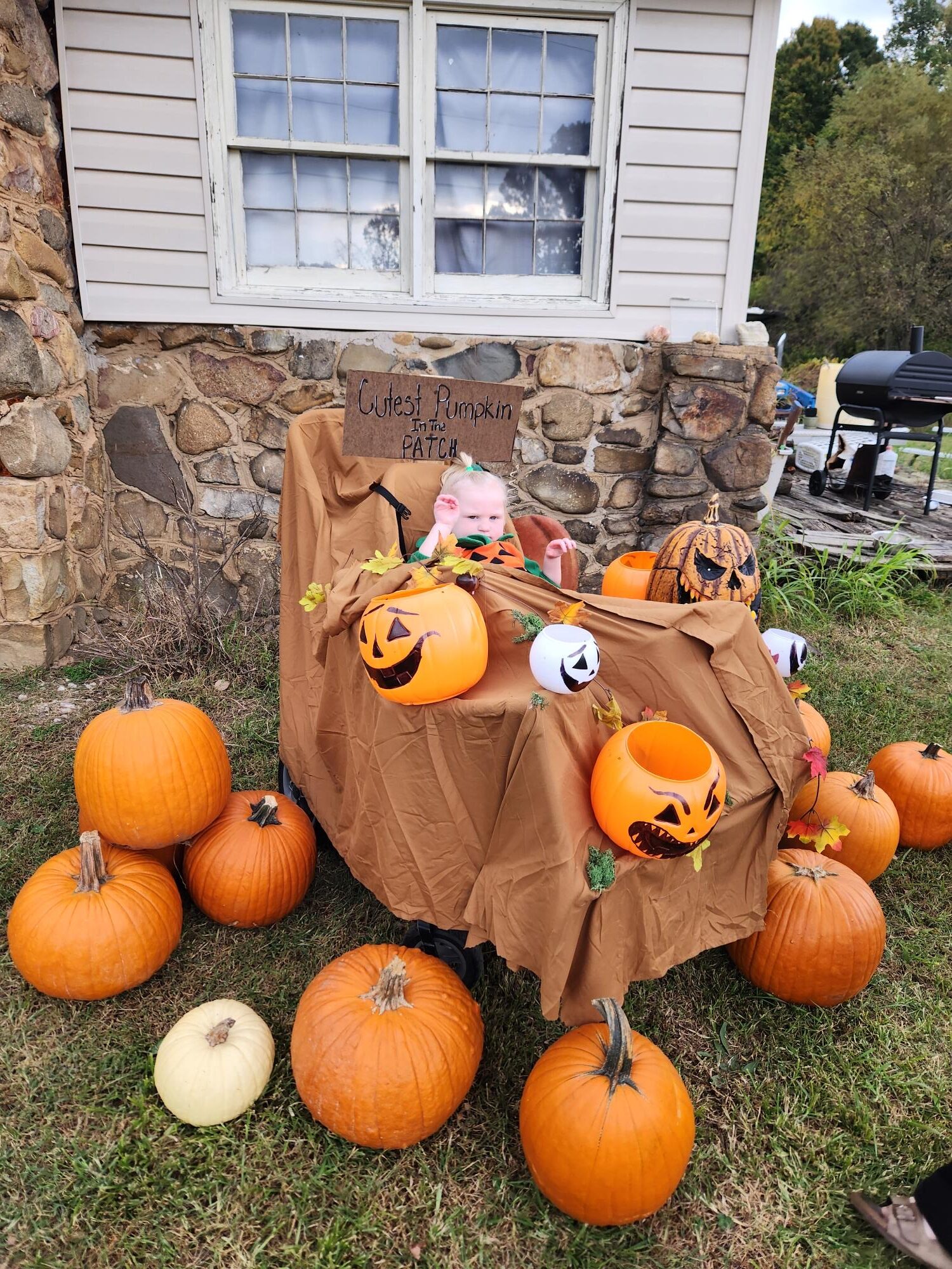 Pumpkin