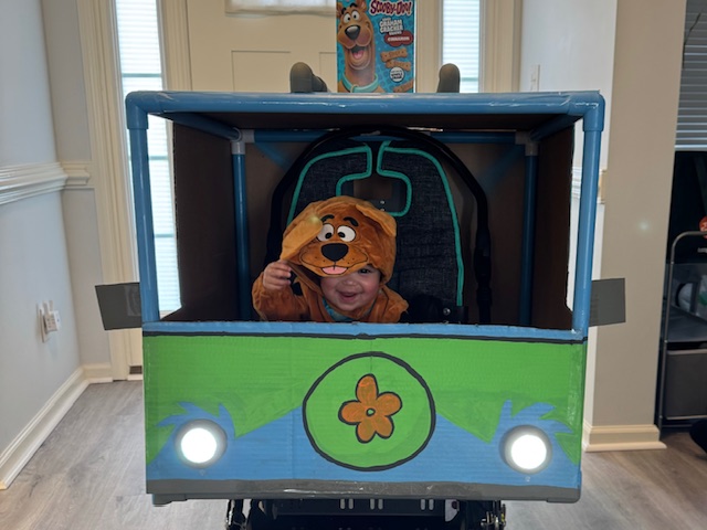 Scooby Doo Mystery Machine