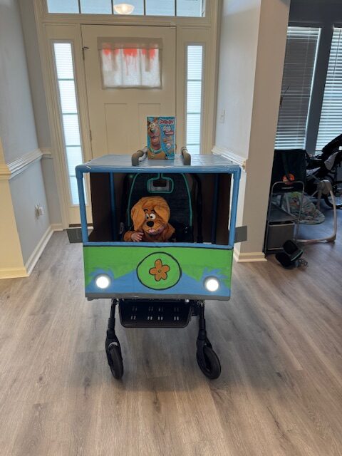 Scooby Doo Mystery Machine