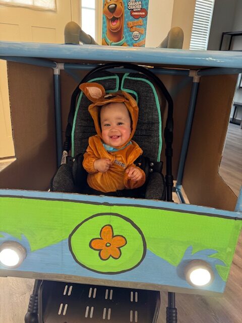 Scooby Doo Mystery Machine