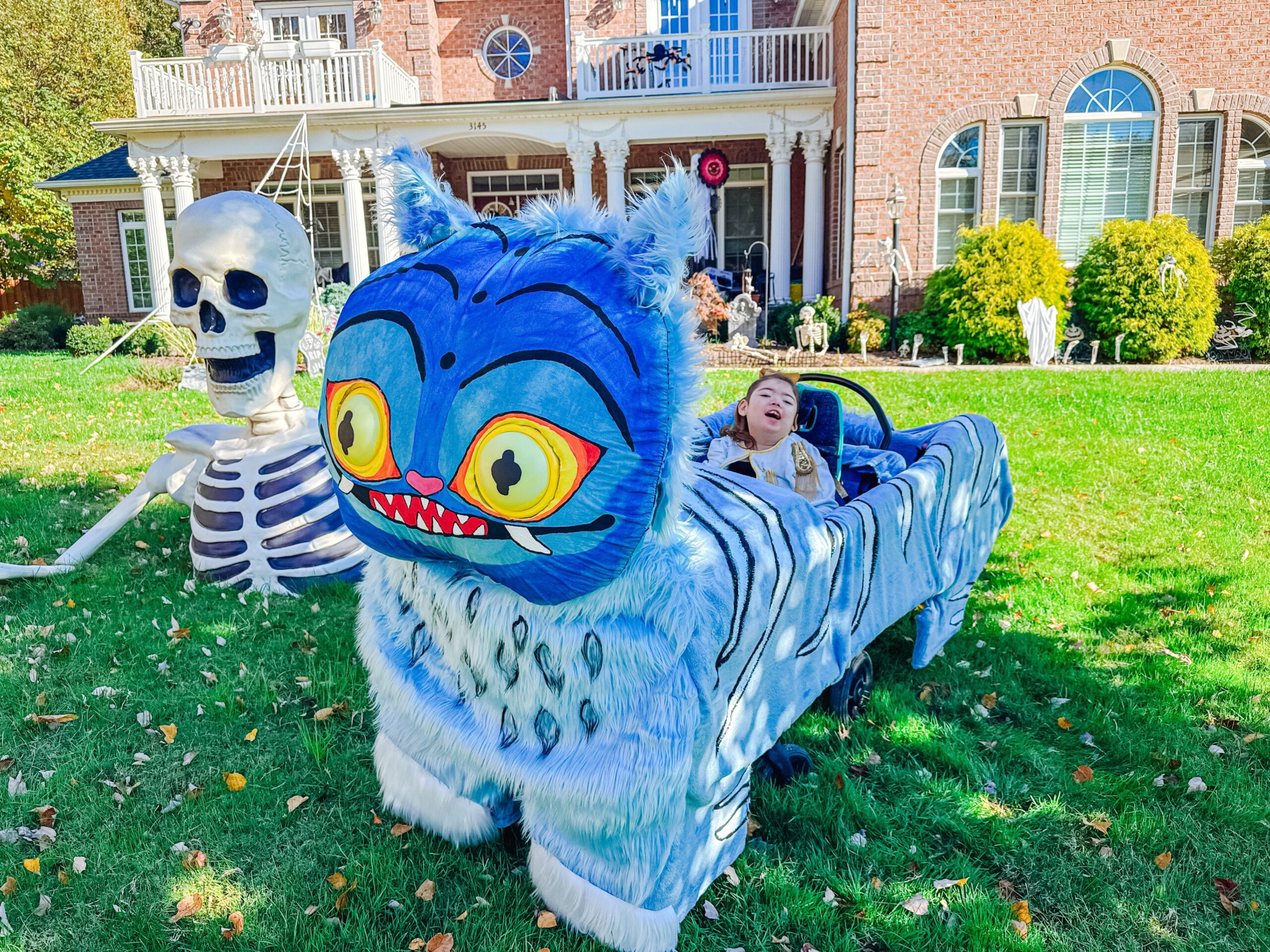 Derpy The Tiger