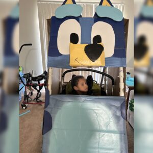 Alternative view of Bluey26