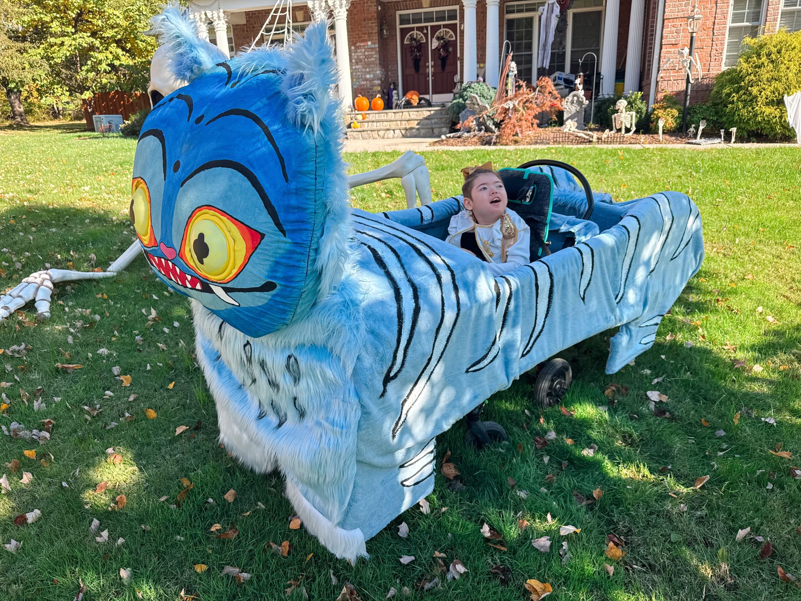 Derpy The Tiger