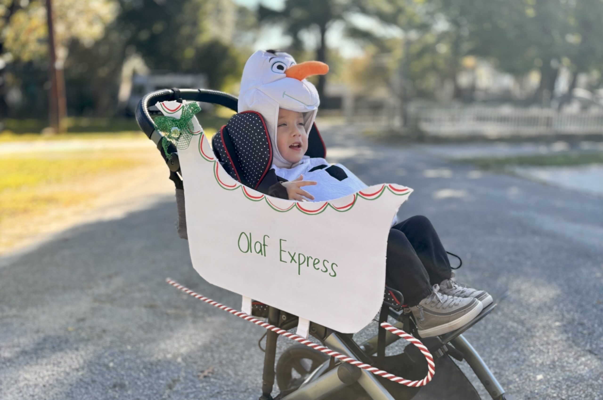 Olaf And His Sled