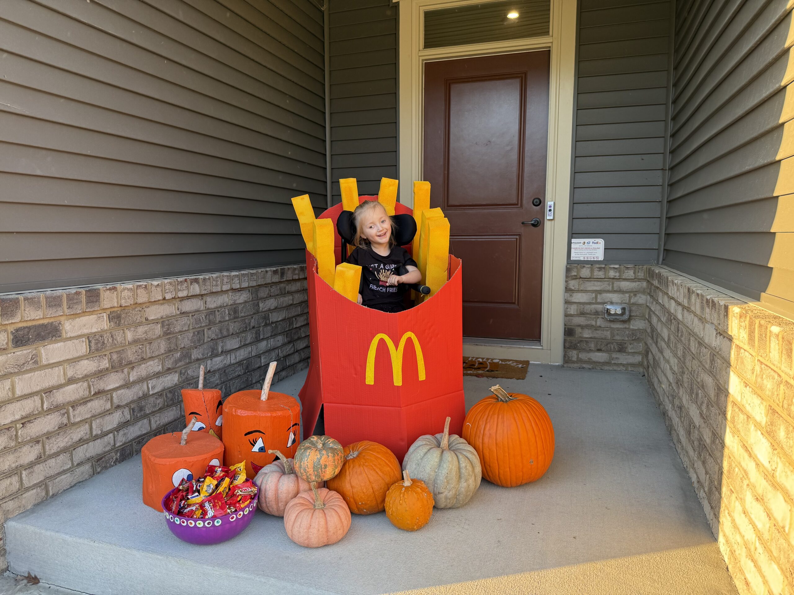 McDonalds French Fries26
