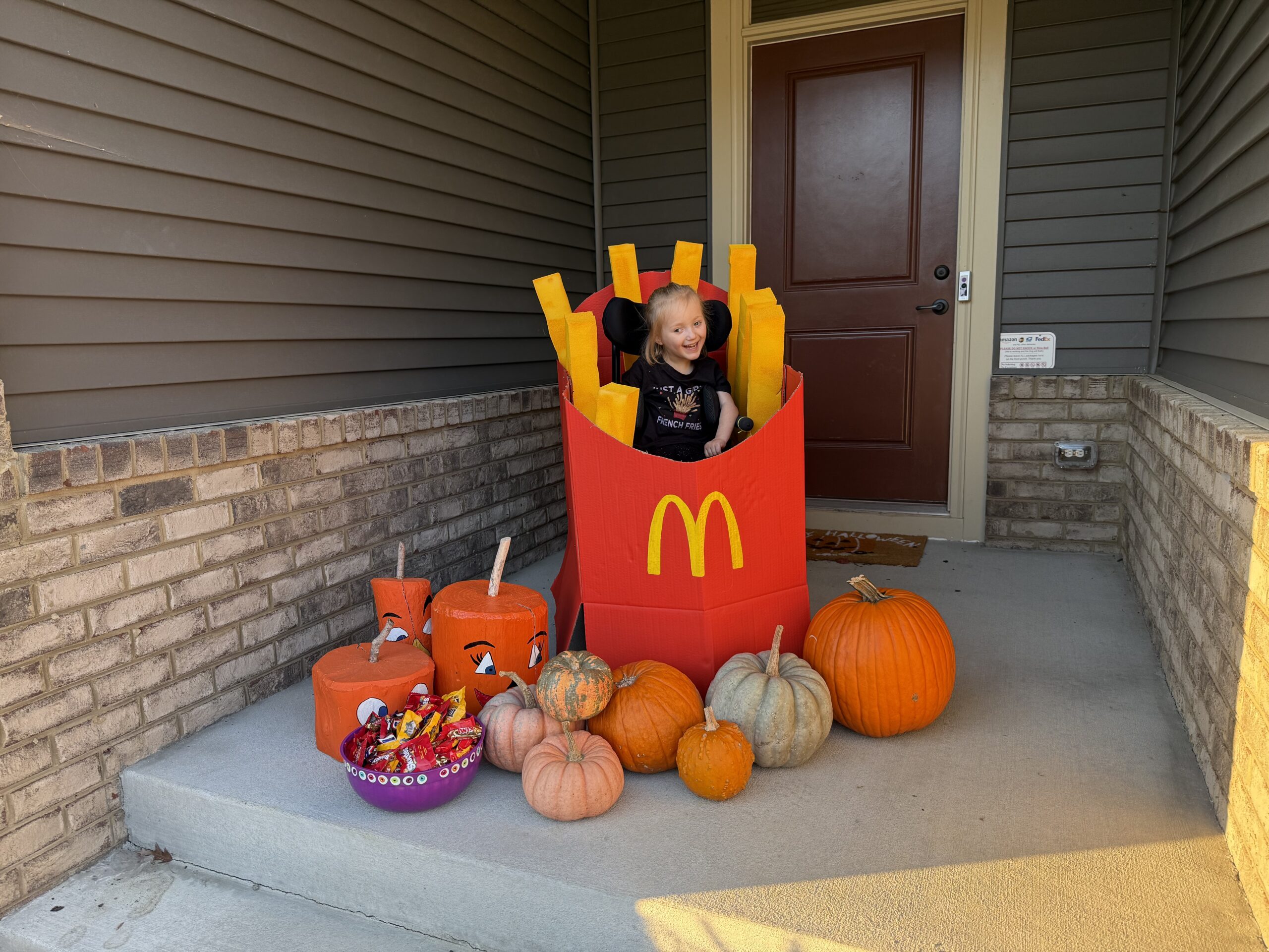 McDonalds French Fries26