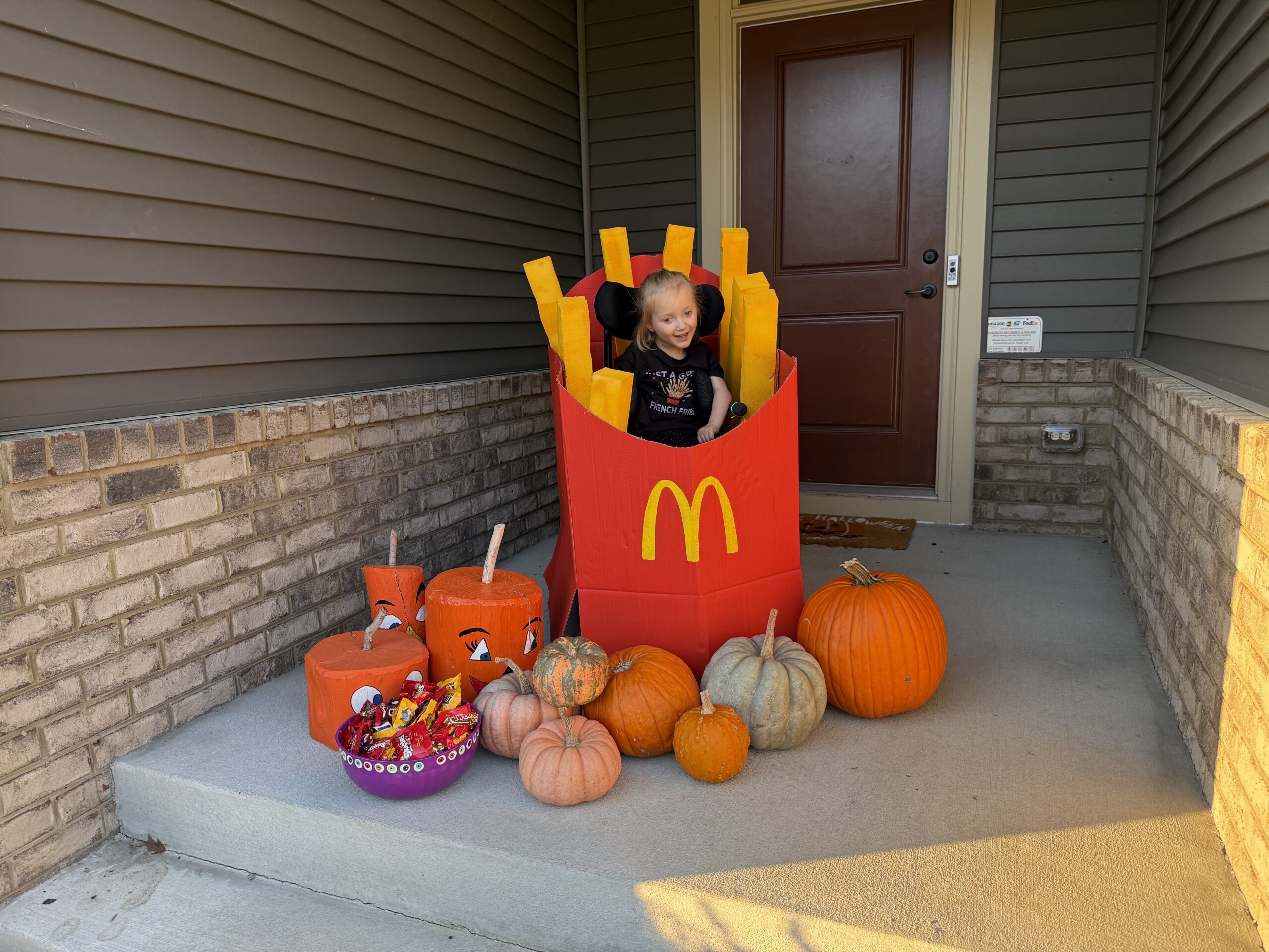 McDonalds French Fries26