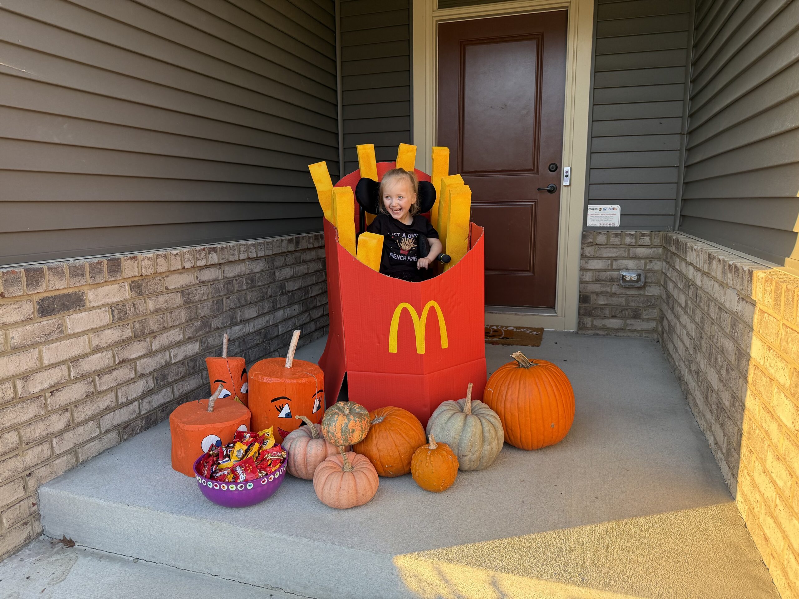 McDonalds French Fries26